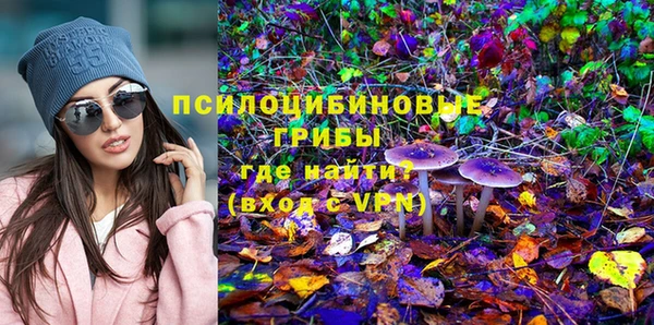 винт Абаза