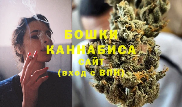 винт Абаза