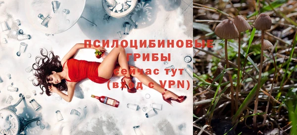 стафф Абинск