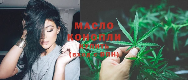 индика Абдулино