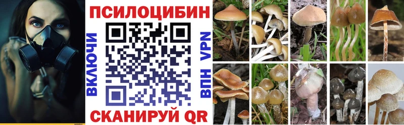 Псилоцибиновые грибы MAGIC MUSHROOMS  Тамбов 