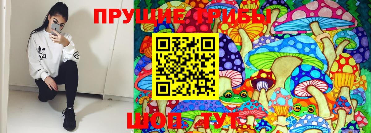Псилоцибиновые грибы Magic Shrooms  Псилоцибиновые грибы ЛСД  Вход с VPN  Тамбов 