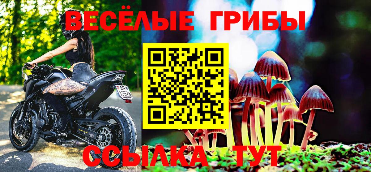 Галлюциногенные грибы Magic Shrooms Тамбов